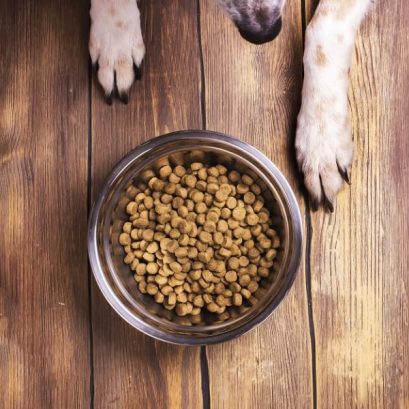 โภชนบำบัด (Nutrition Therapy)